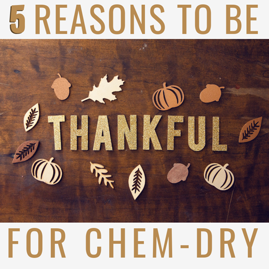 5 reasons to be thankful for carpet cleaning by chem-dry of bellingham in wa