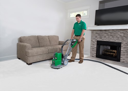 Chem-Dry of Bellingham carpet cleaning technician cleaning carpets in Bellingham WA