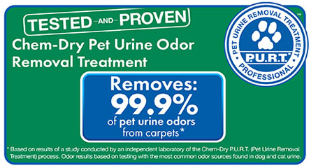 Chem-Dry of Bellingham Removes 99.9% of Pet Urine Odors From Carpets in Bellingham Wa